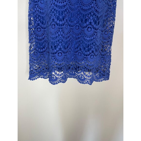 Blue Lace XS Dress With Slip - Picture 4 of 10